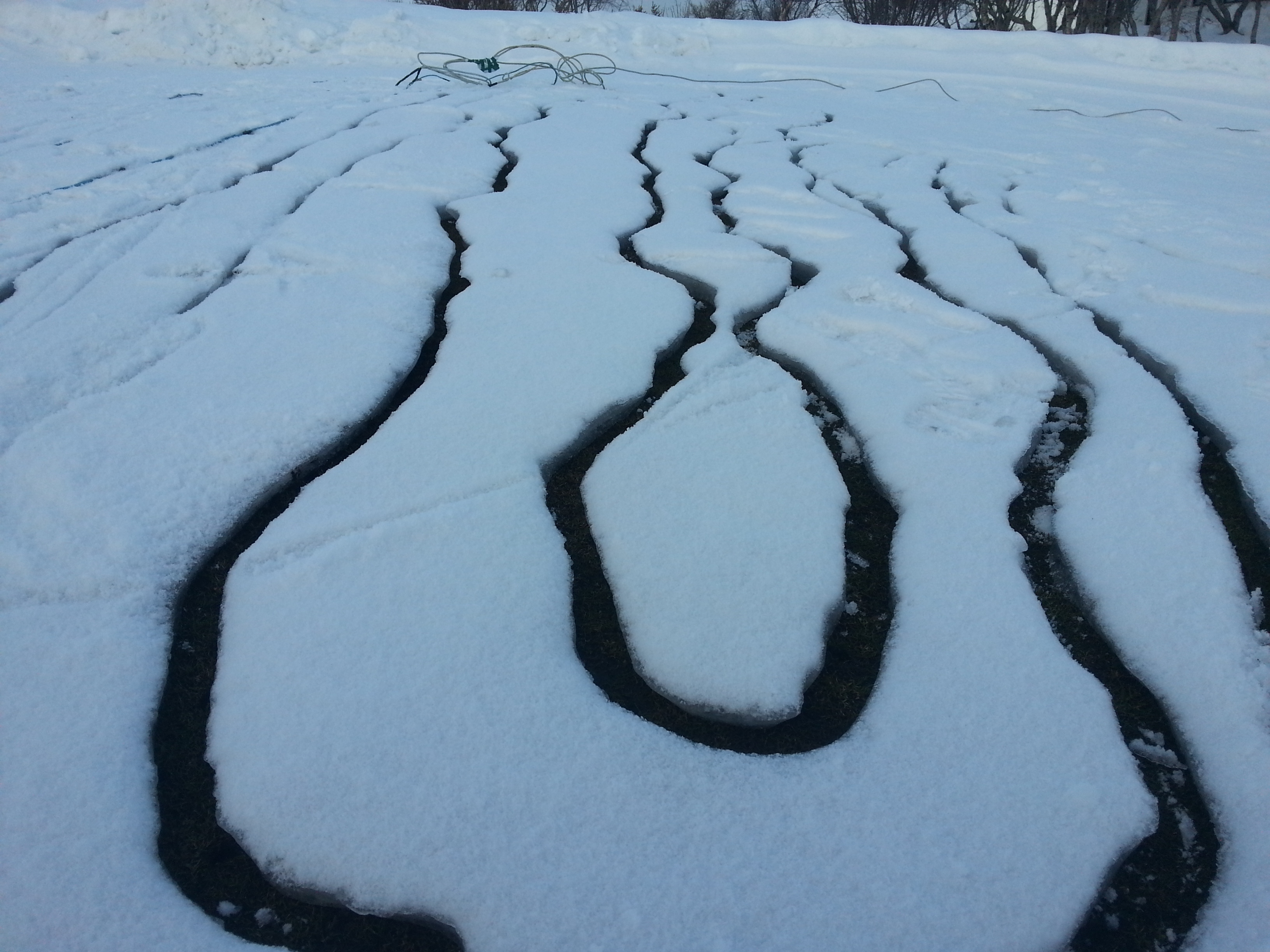 Hitavírarnir brenna sig hratt í gegnum klakann og gefa nauðsynlega öndun