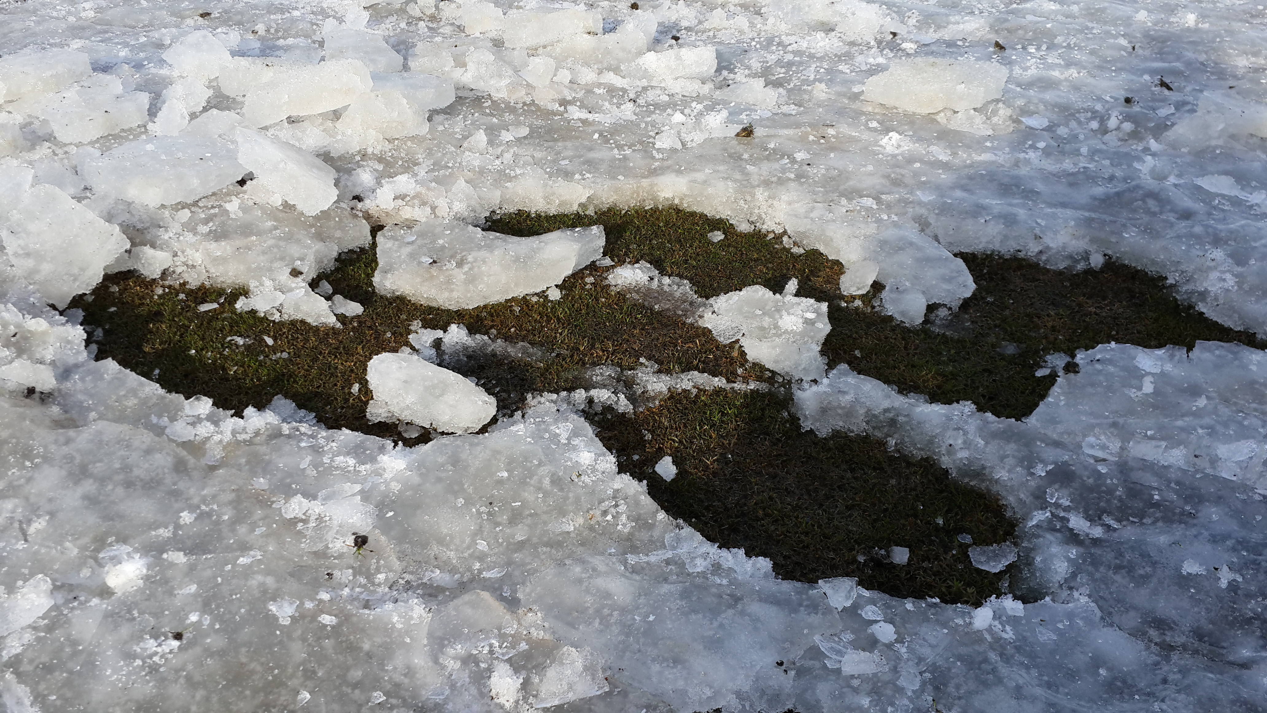 Eins og sjá má þá er klakinn ekki þykkur