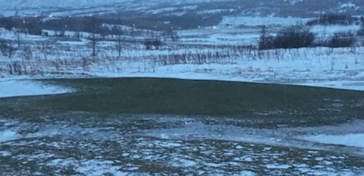 10. flötin þann 14. janúar 2018