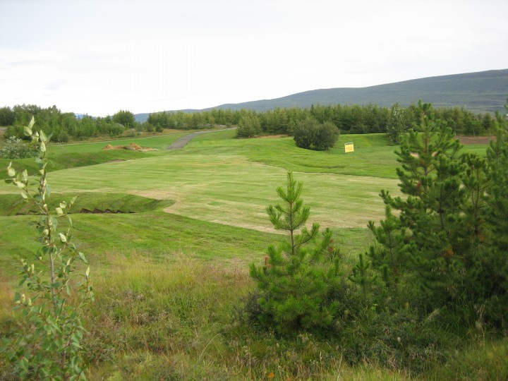 Röð kylfinga að loknum 9 mótum í Ryder