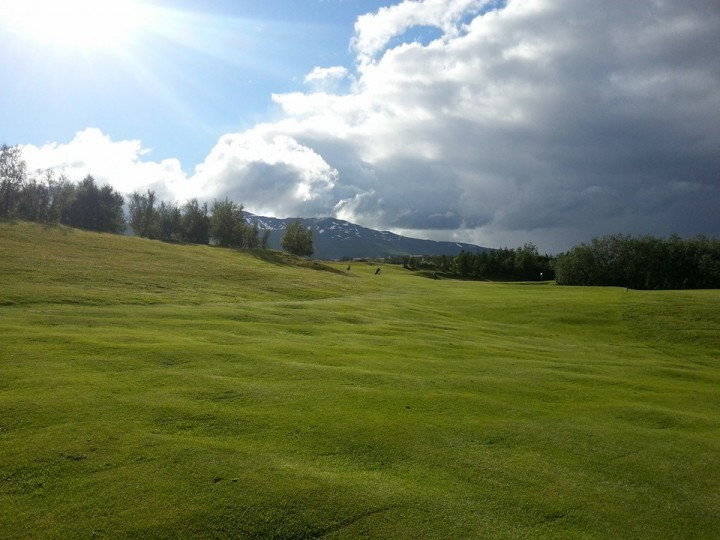 Nýliðaspil í dag 15.júní