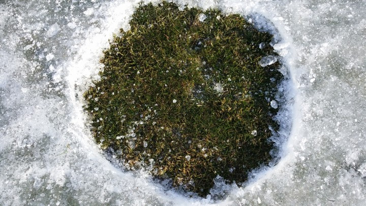 Séð ofaní eina flötina á Lundsvelli