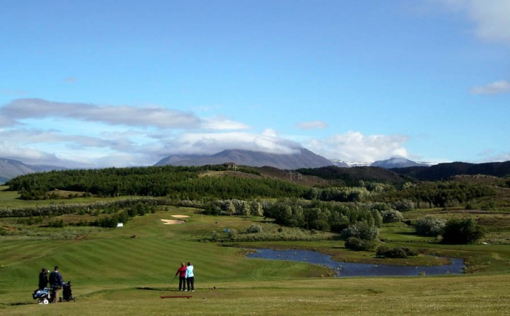 Íslandsmótið í höggleik 2016