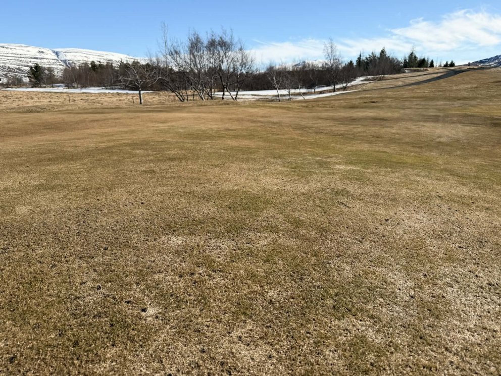 Klappir opna á föstudaginn