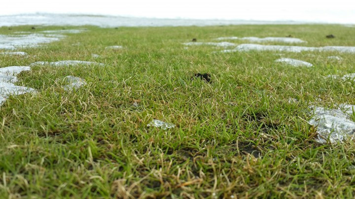 Eins og sjá má hér þá lítur þetta ansi vel út!