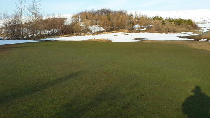 Svona lítur 4. flötin út í dag