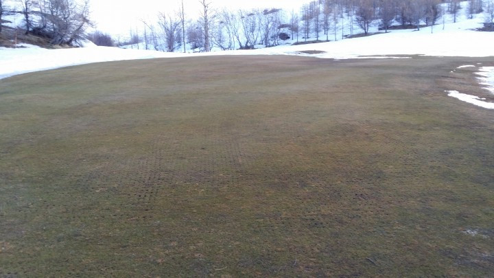 4. flötin lítur vel út!