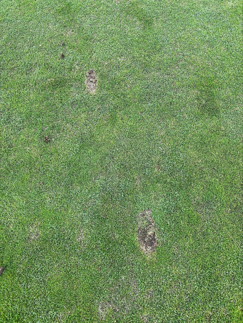 Ekki slá boltum af flötum!