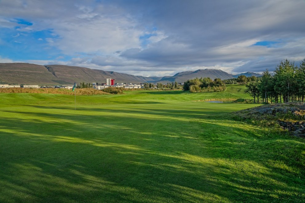 Framboð til stjórnar GA og nefndarstörf