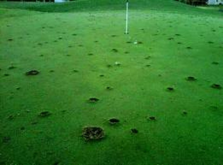 Bætum umgengni á vellinum