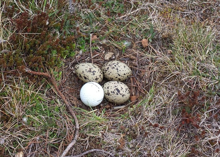 Skemmtisaga frá Jaðri