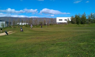 14. flöt - myndin tekin 17. júní 2012