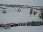 Jaðarsvöllur síðasta vetrardag