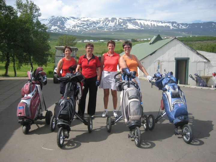 Árleg endurskoðun forgjafar