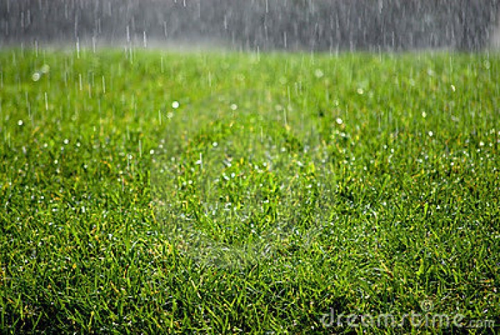 Ágætu ökumenn golfbíla og skutlna