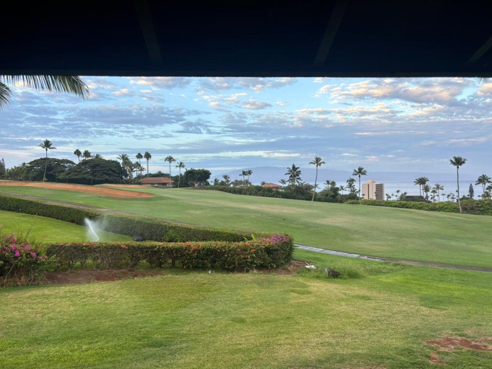 Mynd sem Veigar sendi GA frá Hawaii