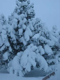 Karlaliðið í úrslitum vetrarpúttmótaraðar GA