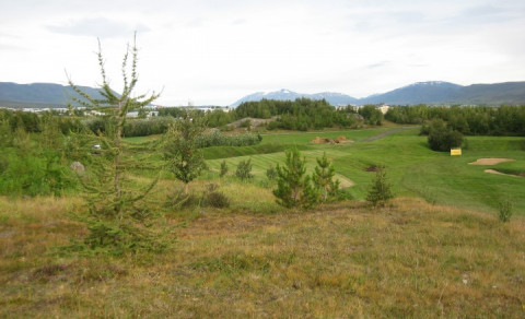 LEVI´S OPEN - Púttmót í Golfhöllinni