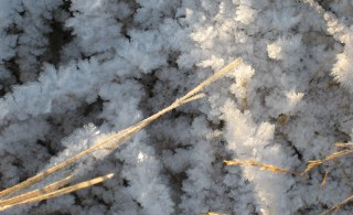 Þorrahlaðborð fyrir GA félaga og gesti þeirra