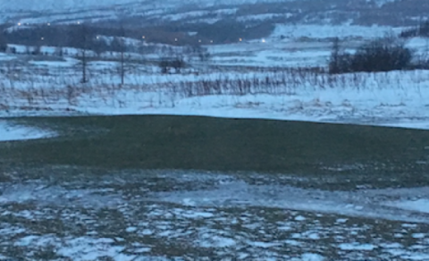 10. flötin þann 14. janúar 2018