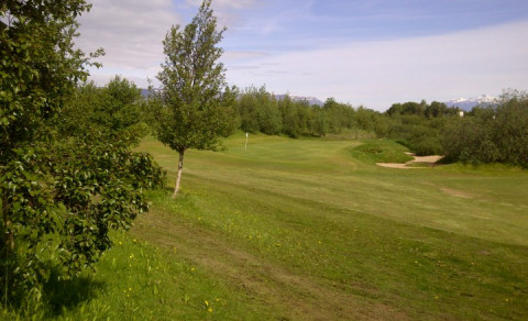 Ryder - Úrslit að loknum 4 mótum