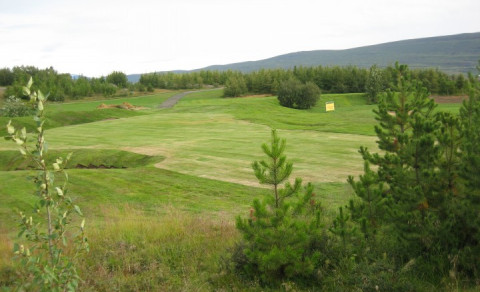 Röð kylfinga að loknum 9 mótum í Ryder