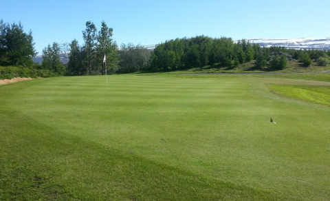 Nýliðagolf á þriðjudaginn