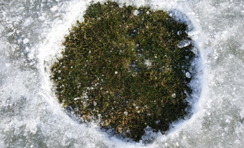 Séð ofaní eina flötina á Lundsvelli