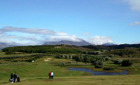 Íslandsmótið í höggleik 2016
