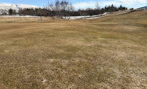 Klappir opna á föstudaginn