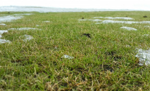 Eins og sjá má hér þá lítur þetta ansi vel út!