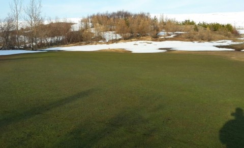 Svona lítur 4. flötin út í dag