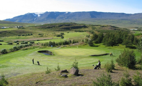 Staðan í miðvikudagsmótaröðinni eftir 11 mót - topp 10