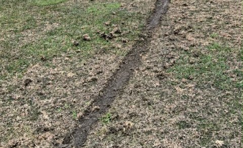 Skemmdarverk unnin á flötum á Jaðarsvelli