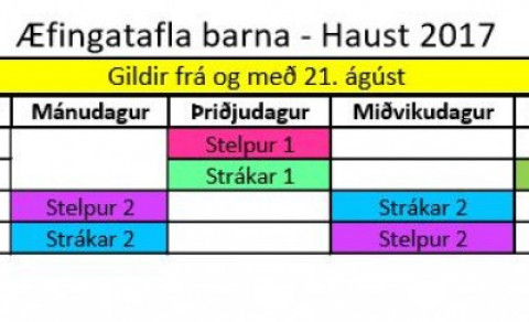 Æfingatafla barna - Haust 2017