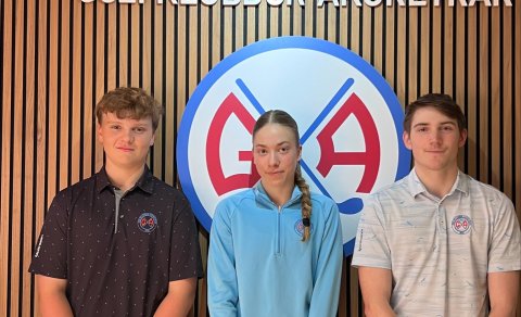 Veigar, Bryndís Eva og Valur Snær - á myndina vantar Andreu Ýr.