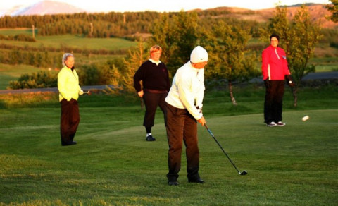 Nýliðaspil á morgun 11.júní