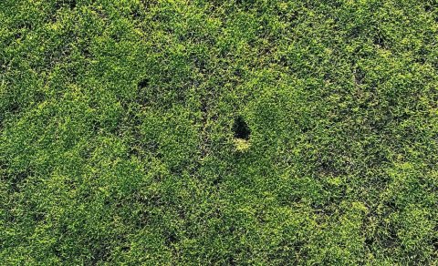 Hugsum betur um völlinn - gerum við boltaför