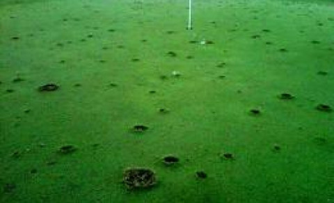 Bætum umgengni á vellinum