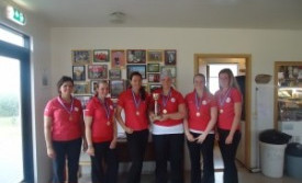 Sveitakeppni  kvenna 2011 – 2. deild