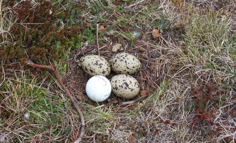 Skemmtisaga frá Jaðri