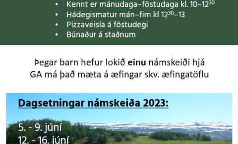 Golfskóli GA 2023