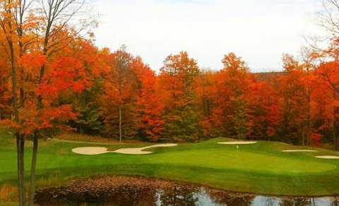 Haustlitirnir eru fallegir - tilvaldir í golfið!