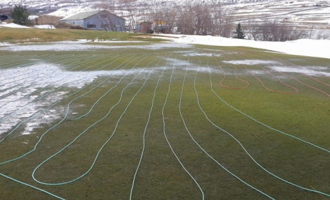 7 flötin nánast auð