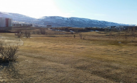 Jaðar kemur vel undan vetri