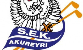 Sveitakeppni eldri kylfinga - GA sveitin í 2. sæti