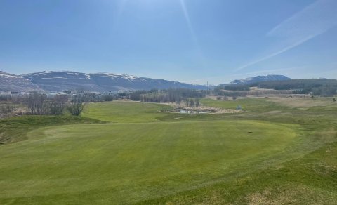 Rjómablíða í gær